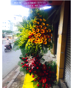 hoa khai trương 28