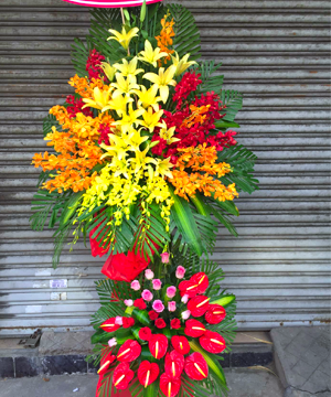 hoa khai trương hkt 36