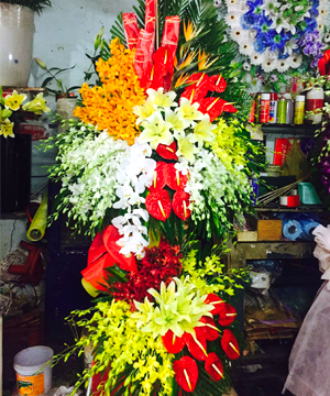 hoa khai trương hkt 38