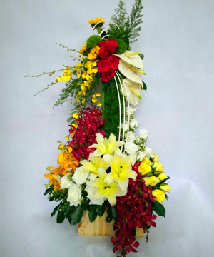 hoa sinh nhật 100