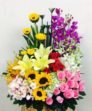 hoa sinh nhật 28