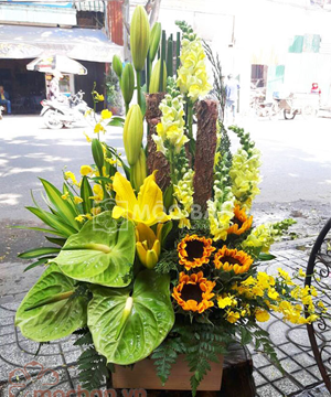 hoa sinh nhật 44