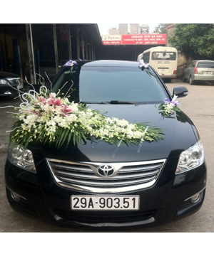 xe hoa 01