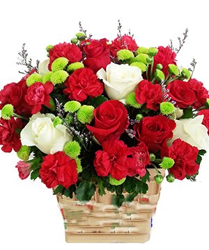hoa sinh nhật hsn 147