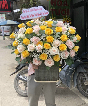 Hoa Sinh Nhật HSN 159