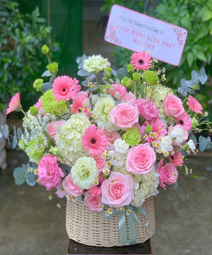 Hoa Sinh Nhật HSN 181